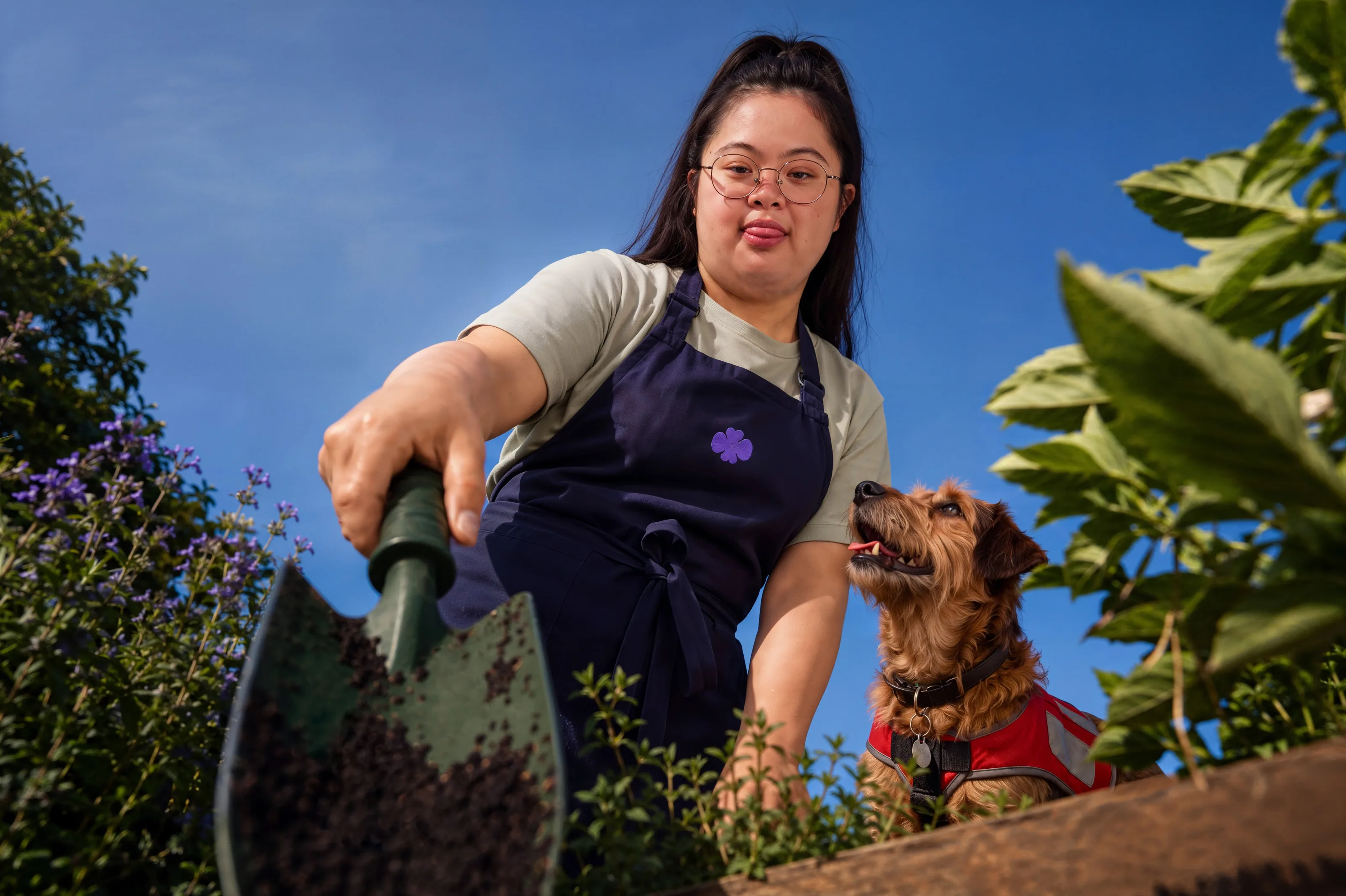 Eine Frau mit Schürze und Handschaufel im Garten, neben ihr ein Hund.